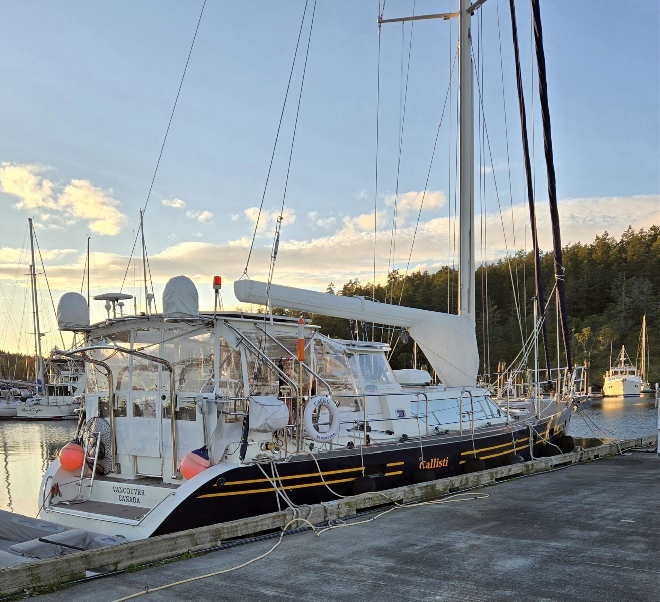 2006 Waterline 50