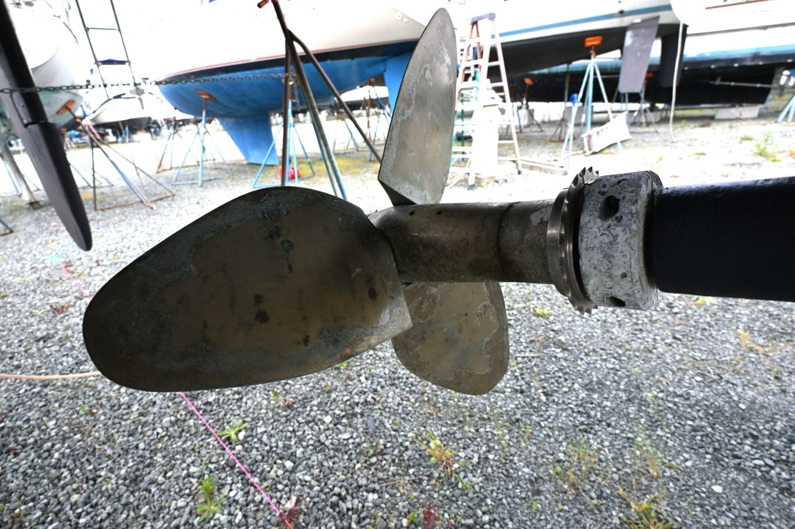 2006 Waterline 50