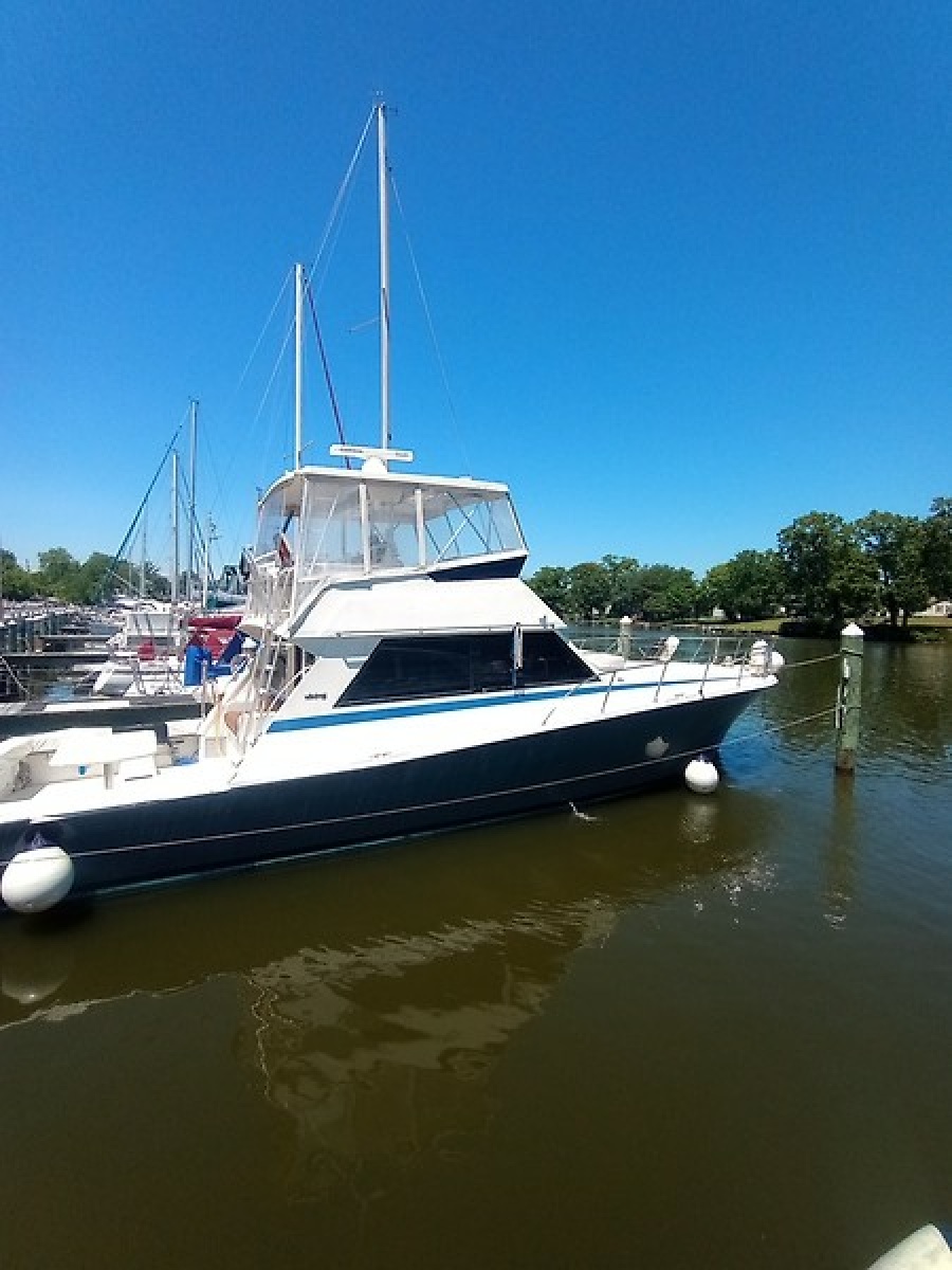 1987 Viking Convertible