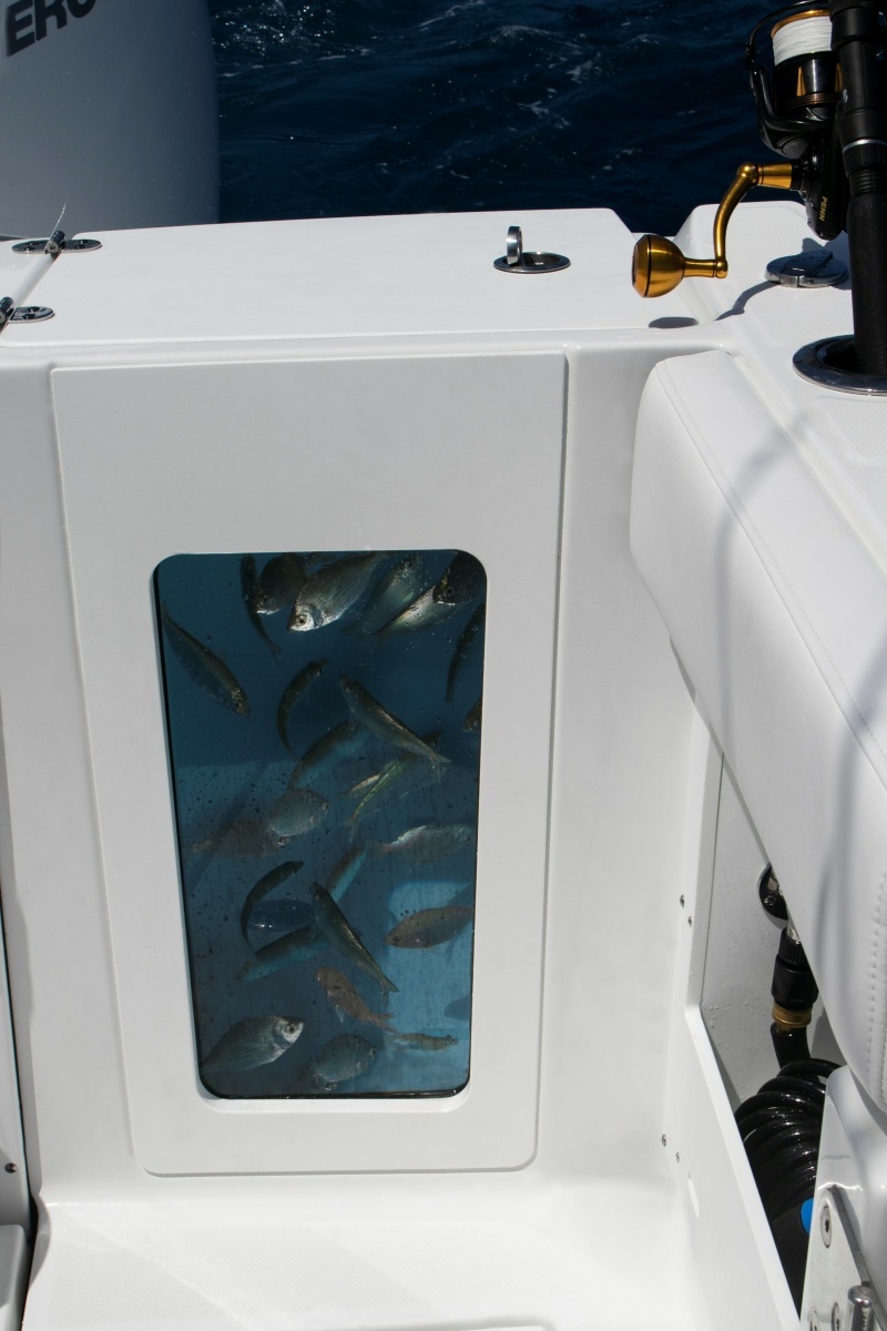 30ft Blackfin Yacht For Sale