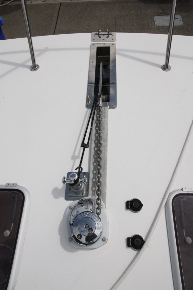 2004 Custom TLD Custom Power Cat