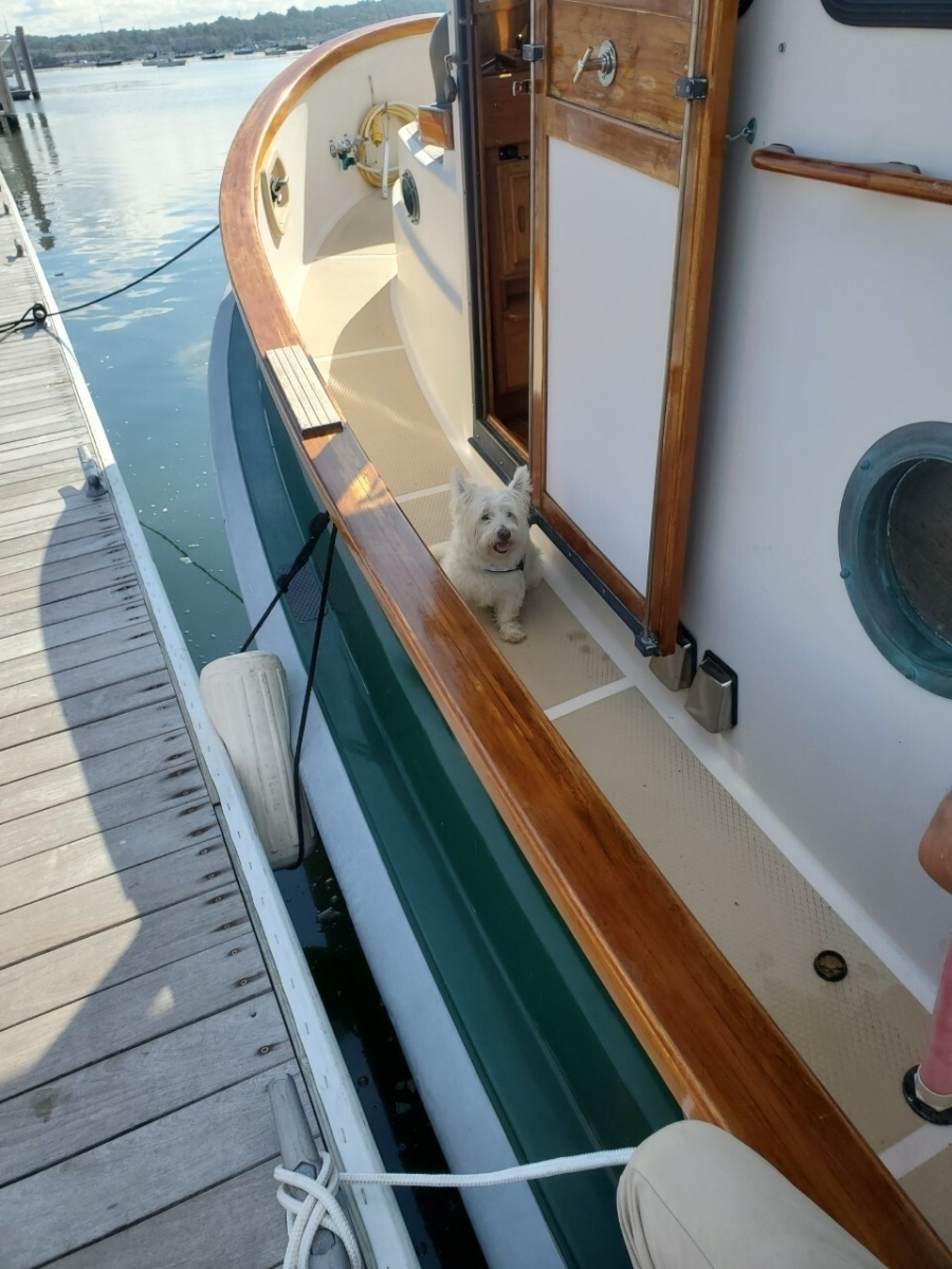 Trilogy 38ft Benford Yacht For Sale