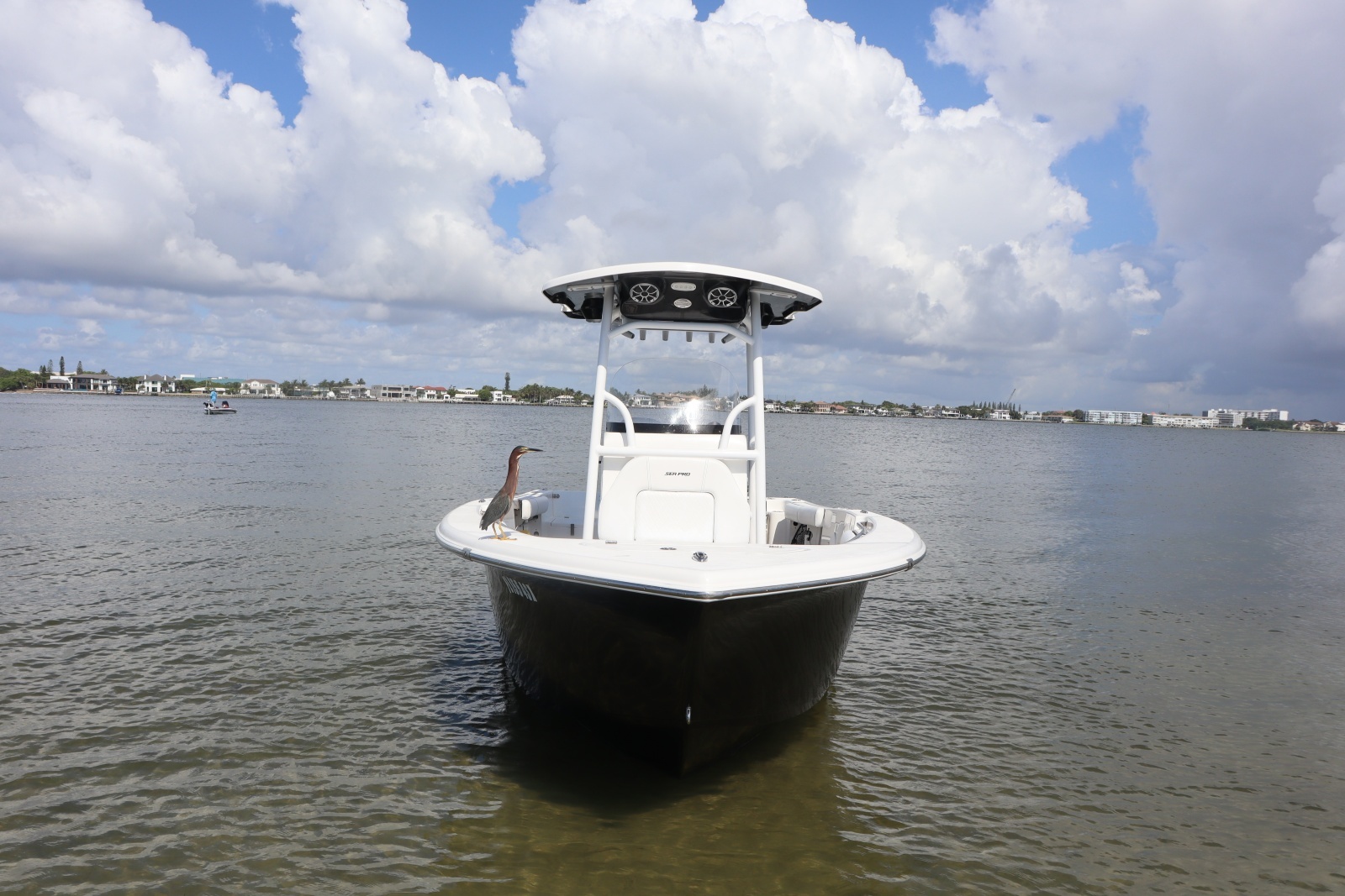 21ft Sea Pro Yacht For Sale