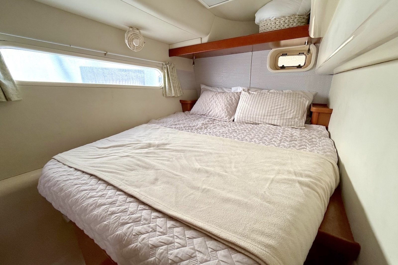 2010 Leopard 46