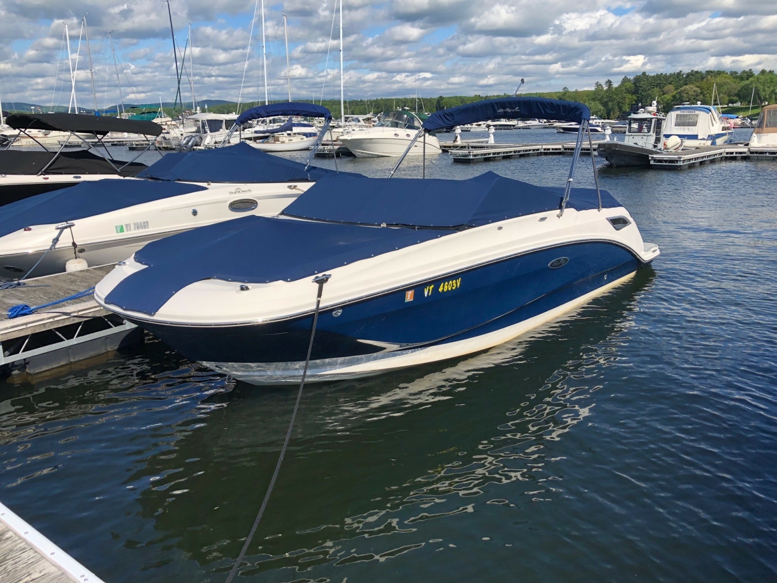 2013 Sea Ray 