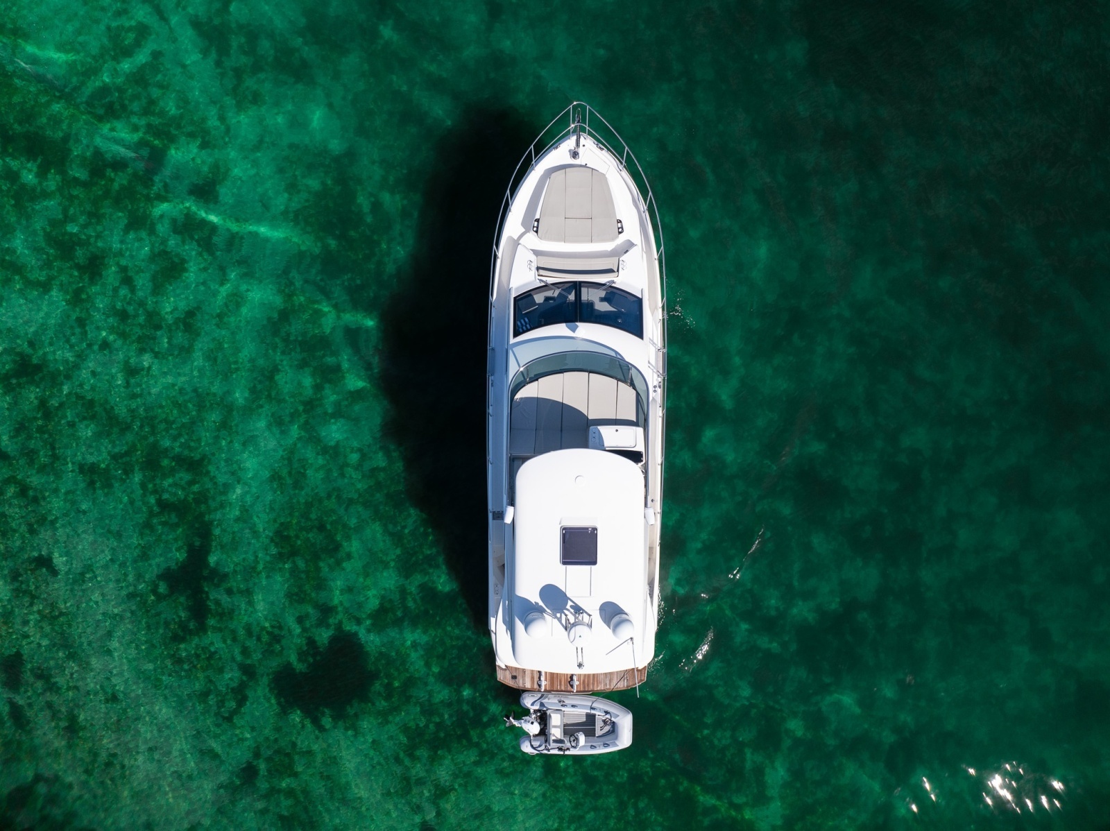 Holy Moly 50ft Absolute Yacht For Sale