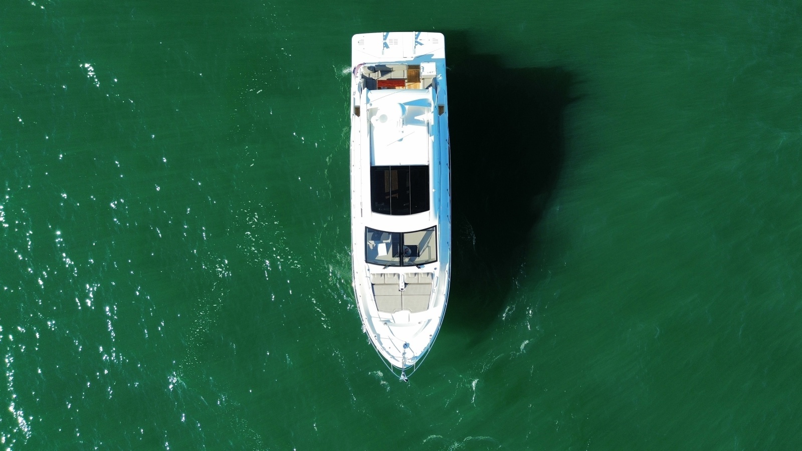 2019 Sea Ray 520 Sundancer photo 8