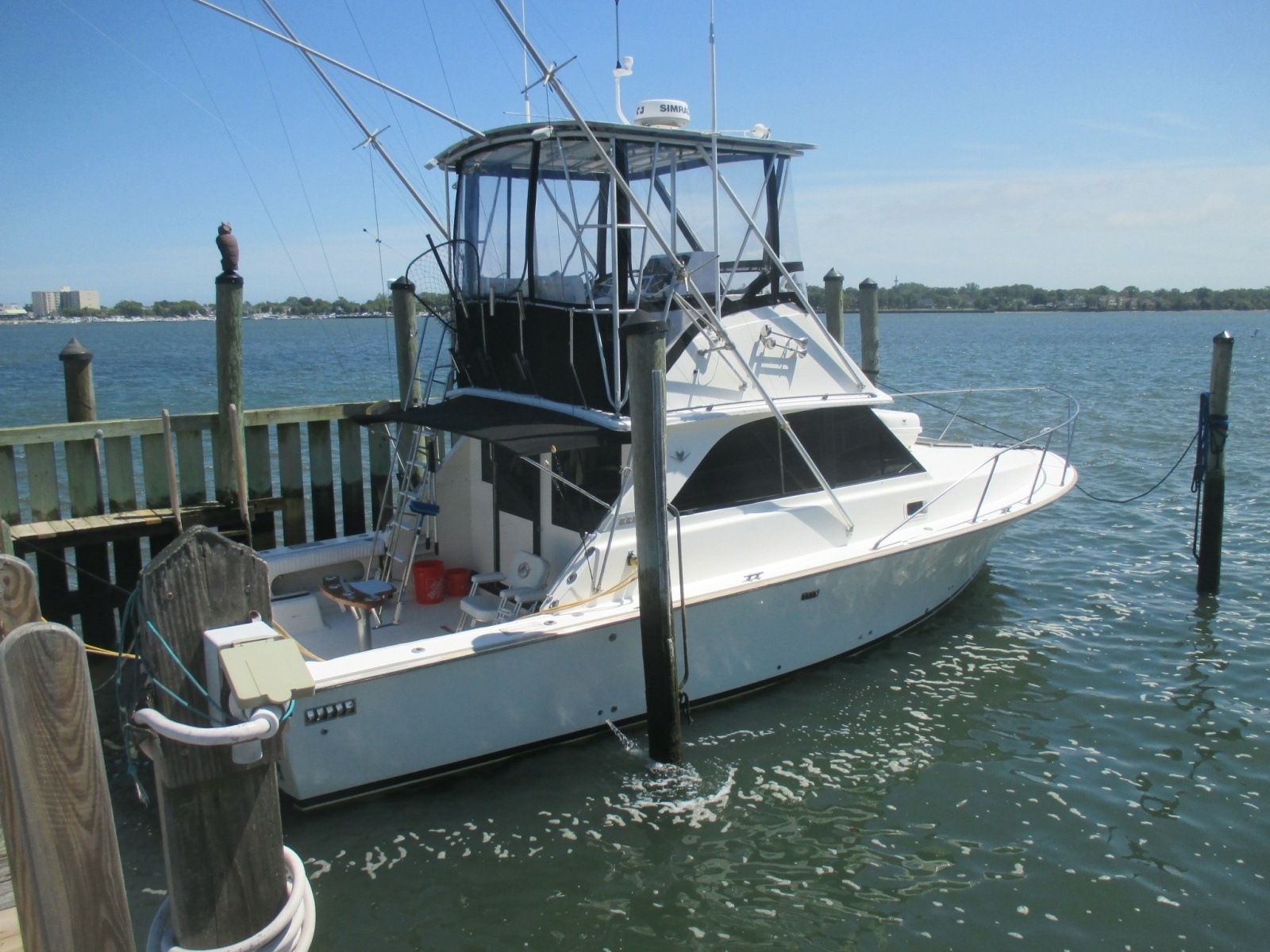 1984 Bertram 35 Convertable