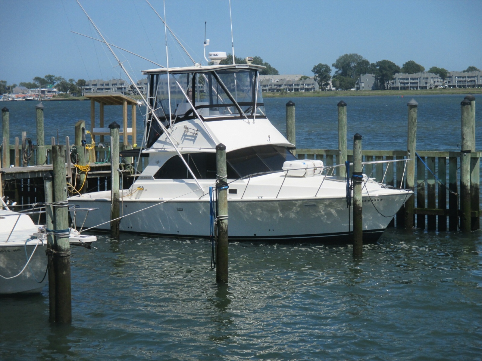 1984 Bertram 35 Convertable