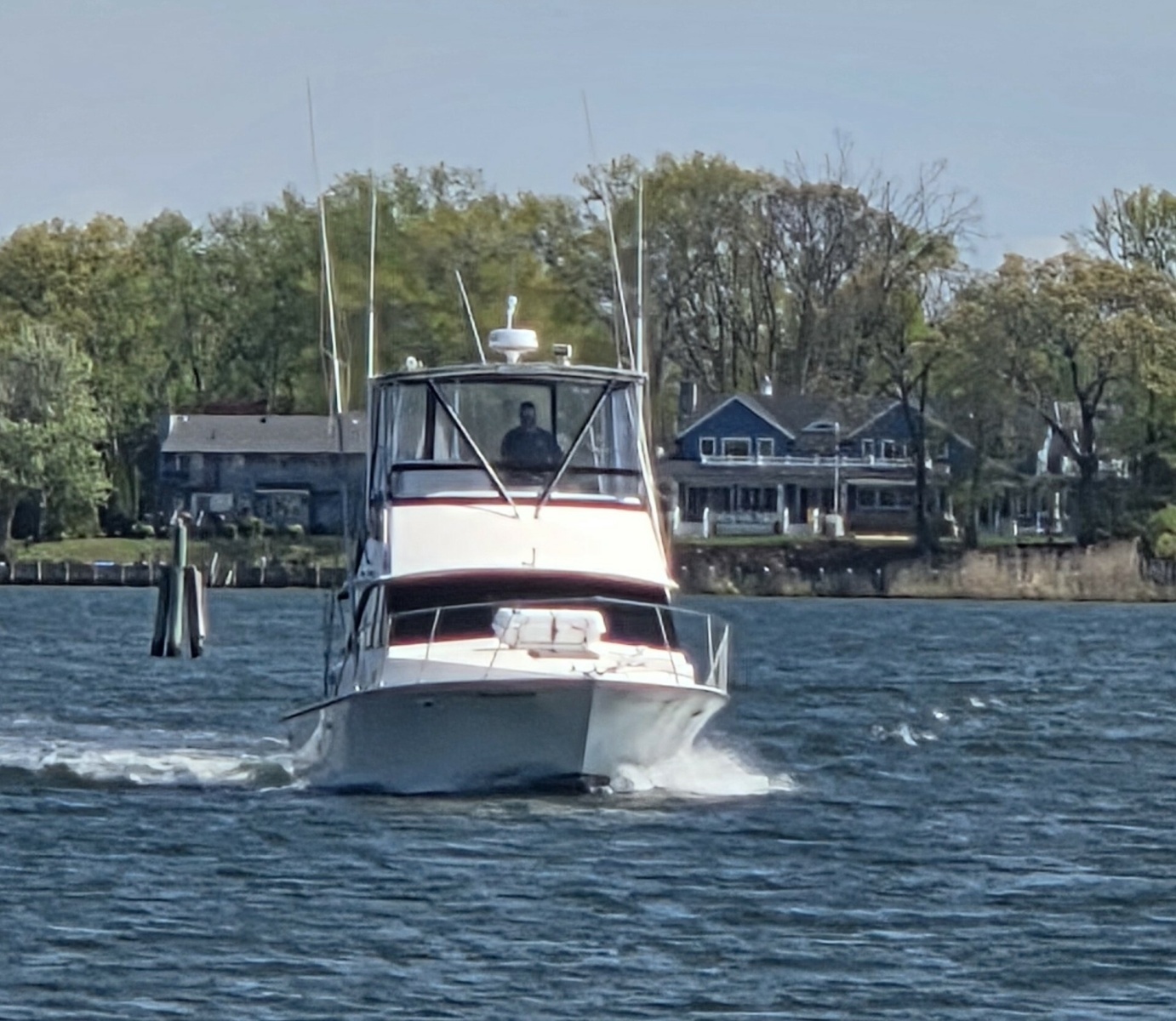 1984 Bertram 35 Convertable
