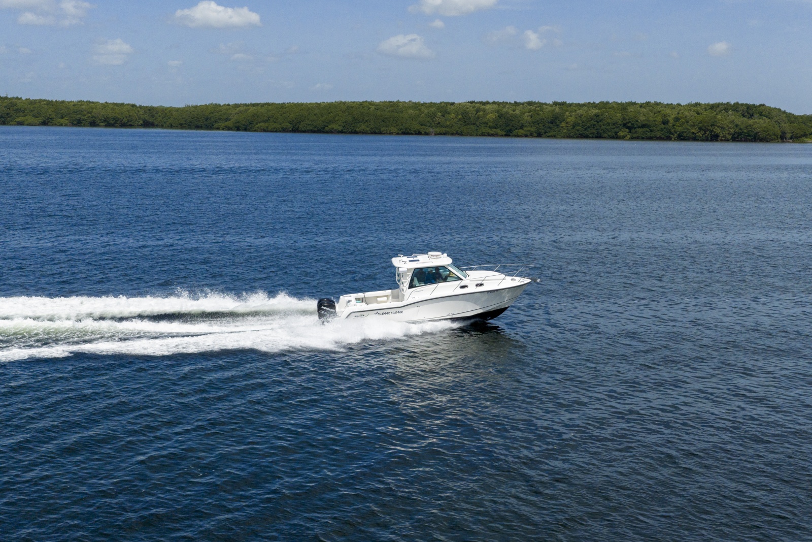 2014 Boston Whaler 315 Conquest