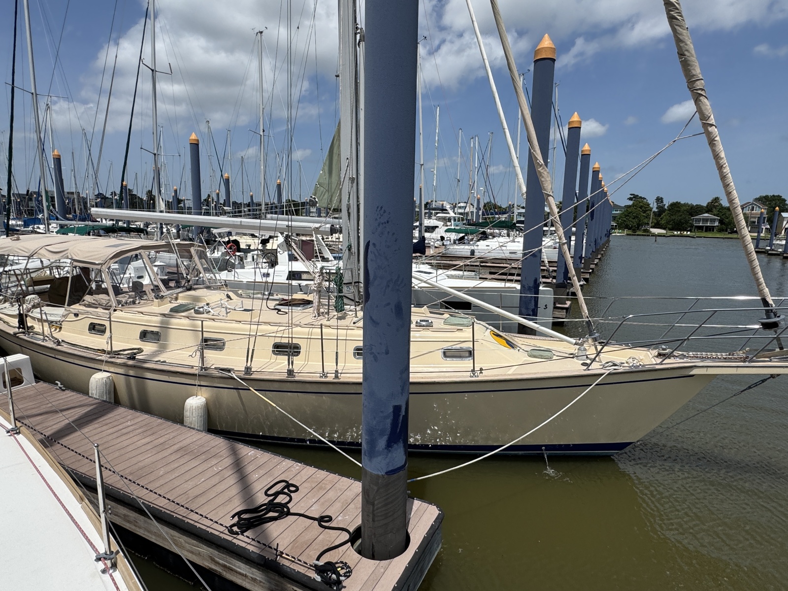 Pelicano Yacht Photos Pics 