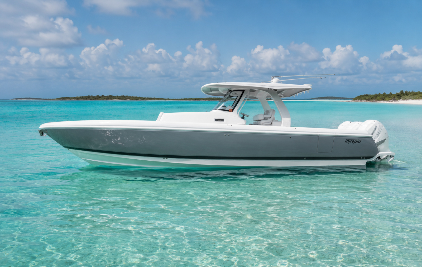 2020 Intrepid 407 Panacea