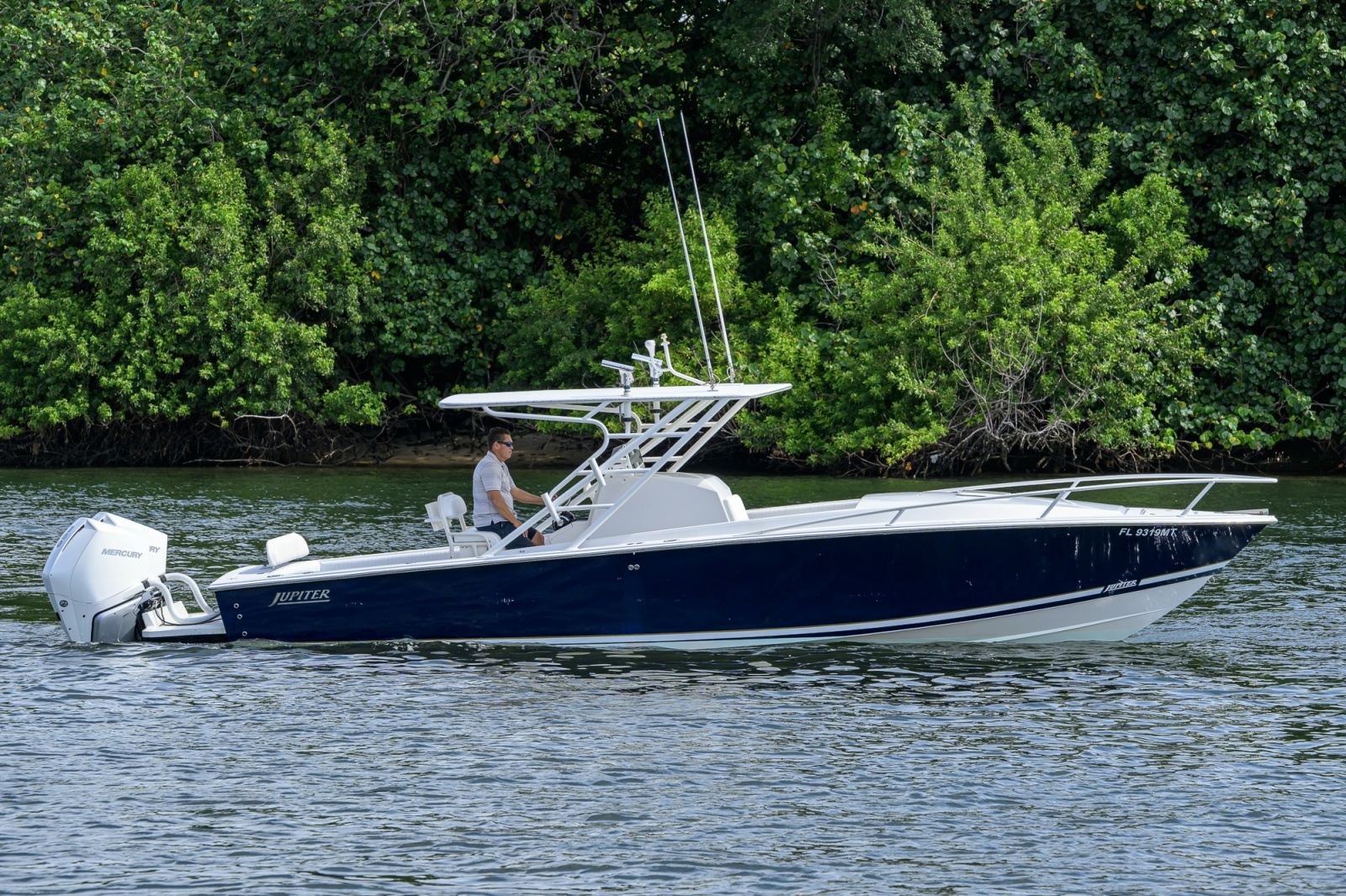 Jupiter 31 Profile