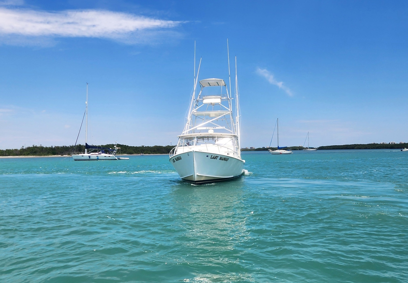 1987 Young Brothers Custom Sport Fish/Charter Business