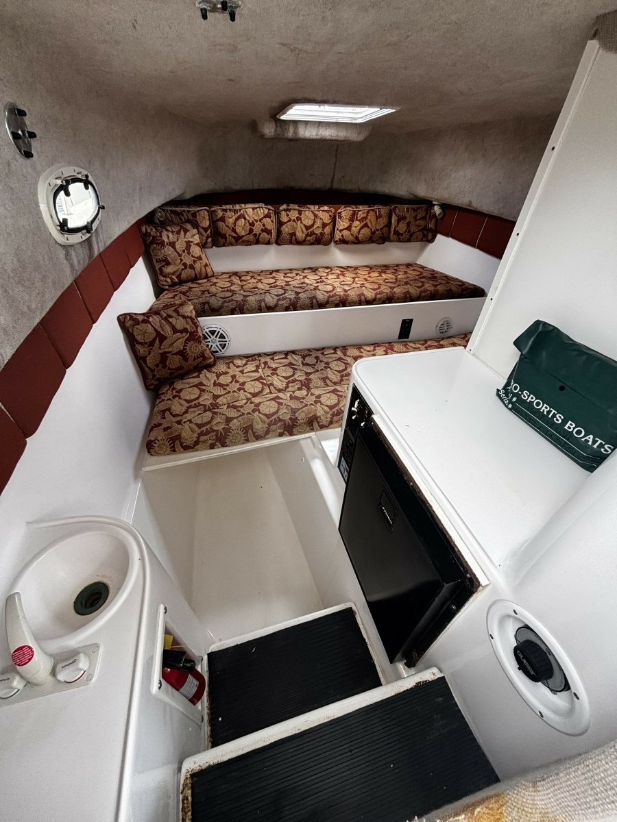 Double Trouble      29ft Pro Sports Yacht For Sale