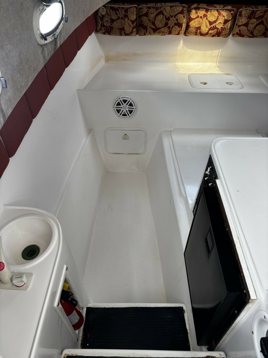 Double Trouble      29ft Pro Sports Yacht For Sale