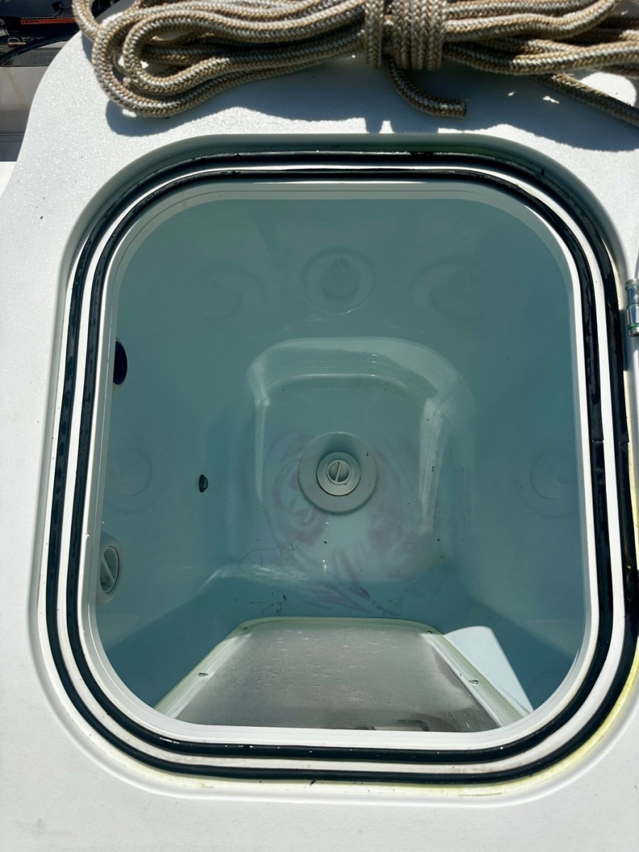 2022 Sea Fox 