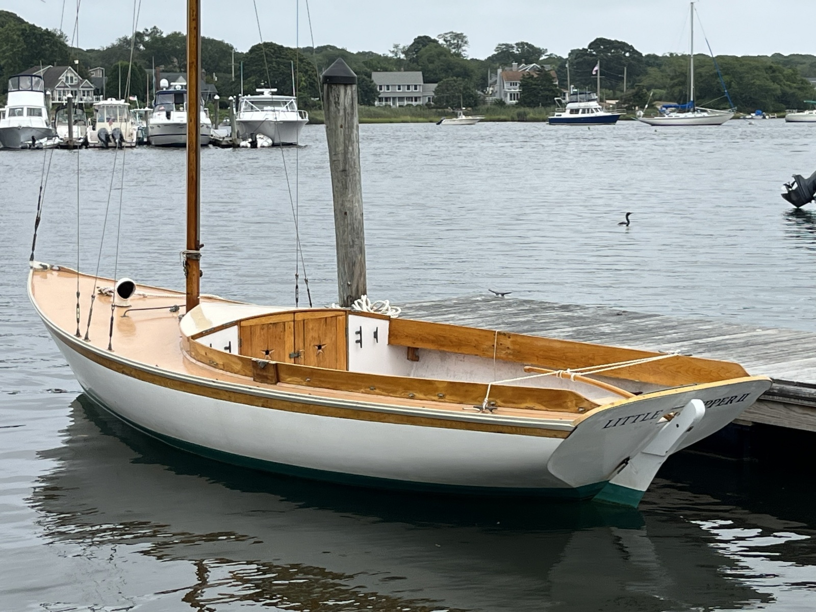 1979 Golden Era Petrel