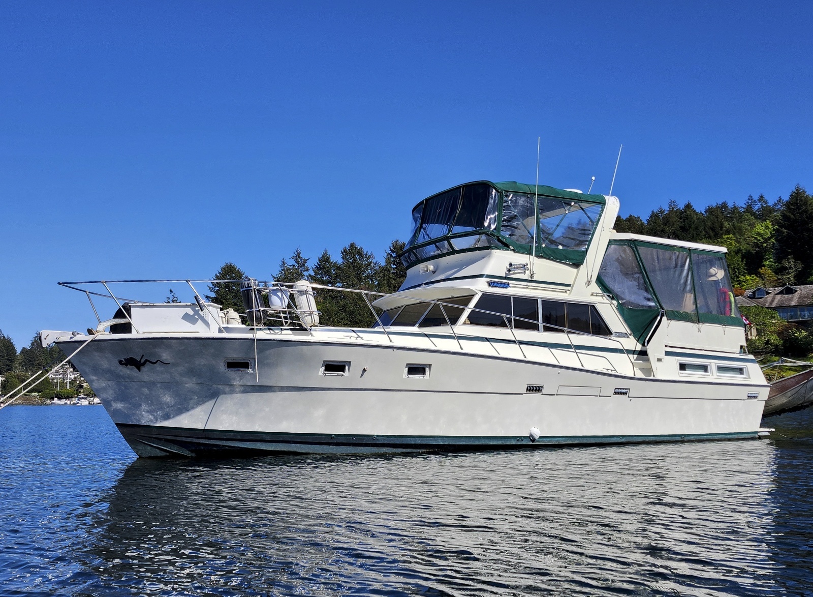 1977 Viking 43