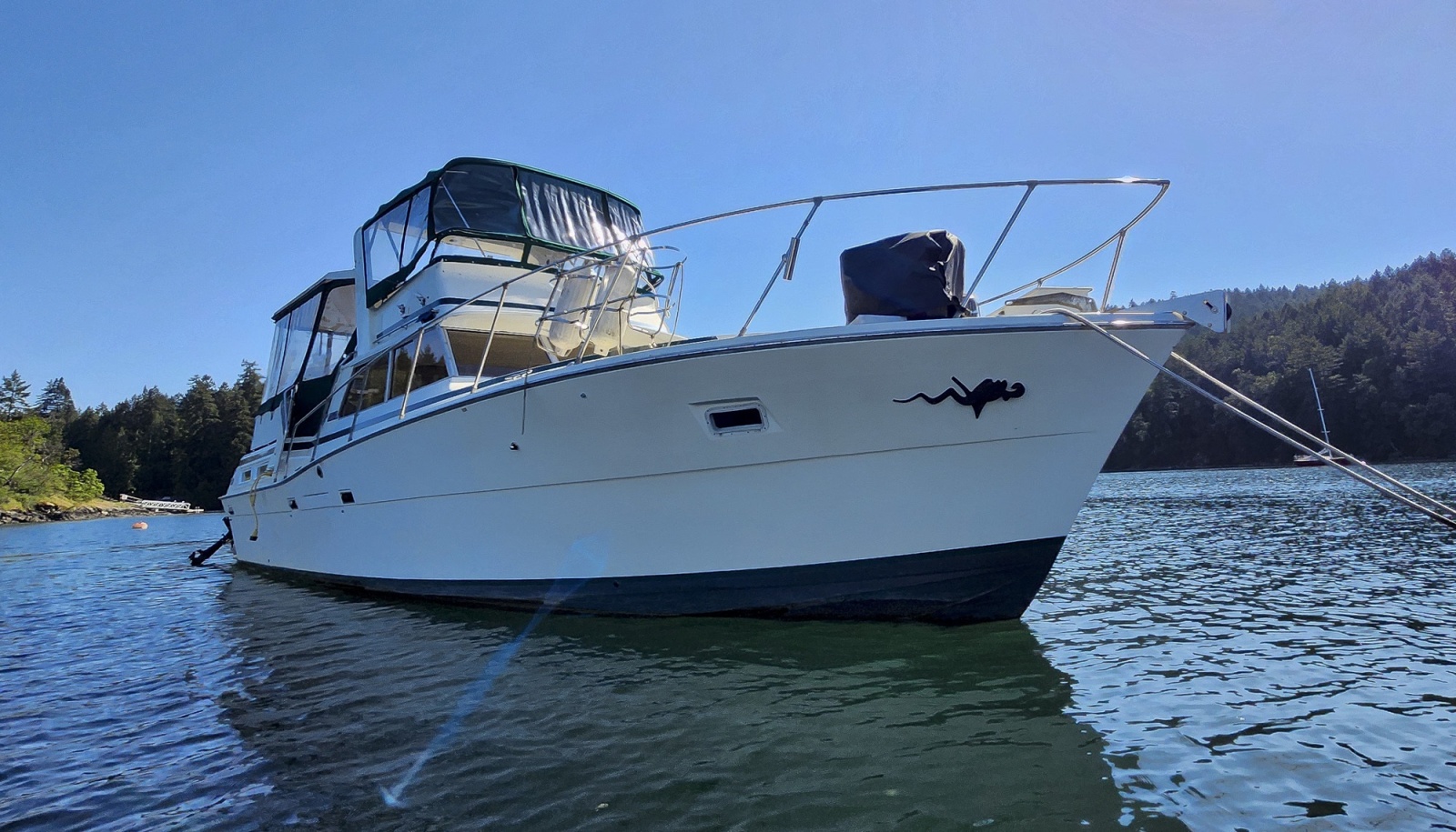 1977 Viking 43