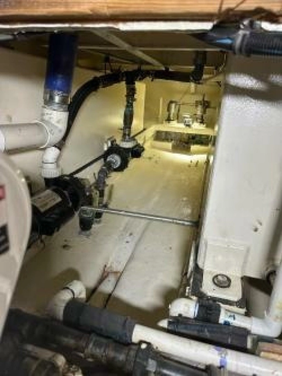 1987 Miller Sportfish 55