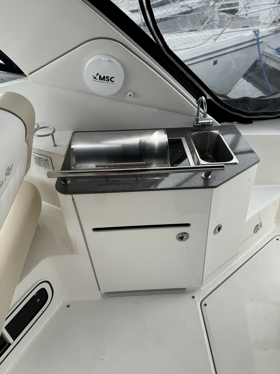 Sea Ray 310da Grill