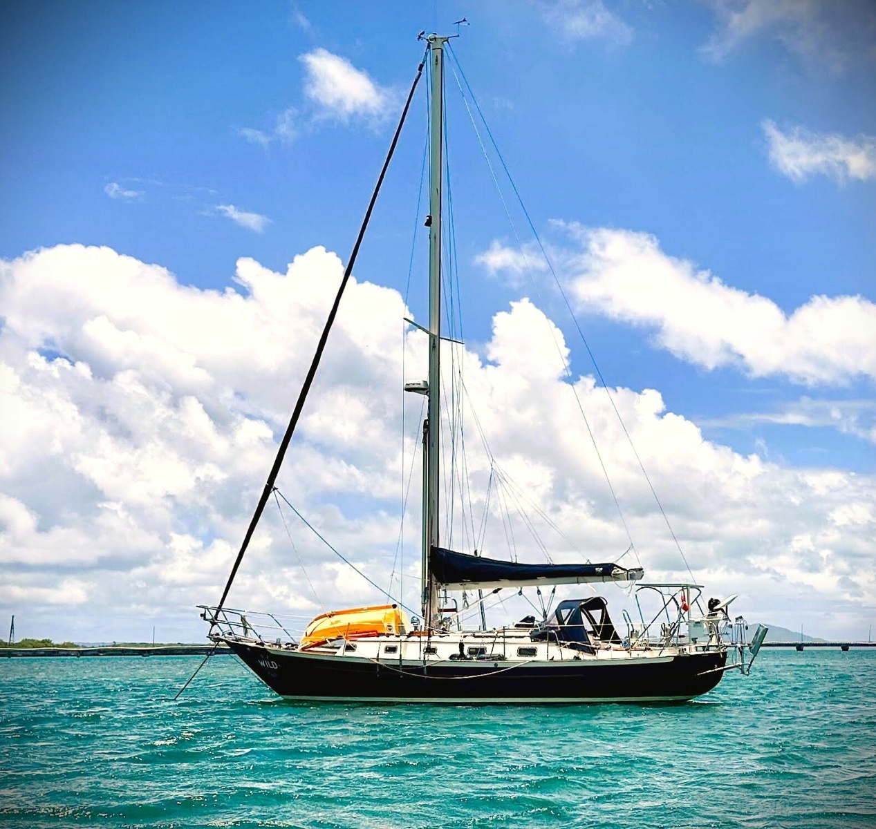 Wild Yacht Photos Pics 