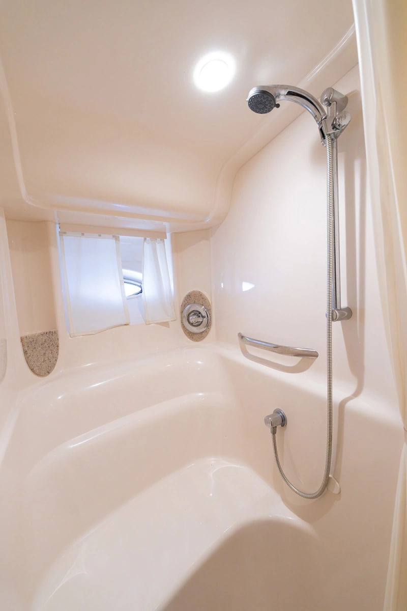 Master shower