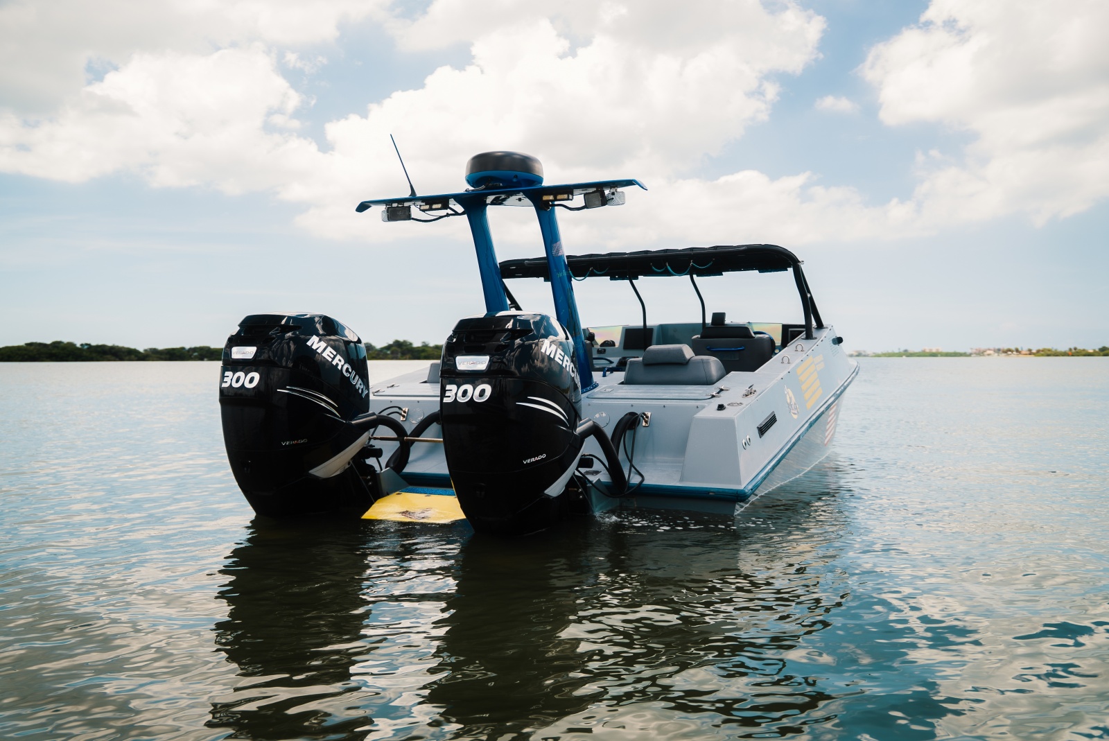 2002 Interceptor Nightcat 27