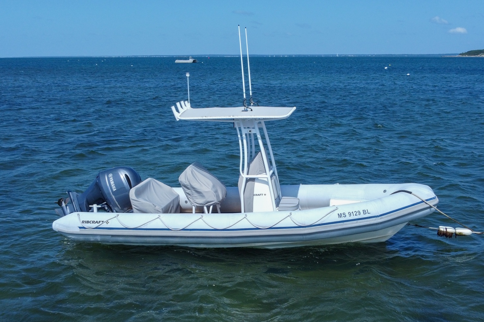 2019 Ribcraft