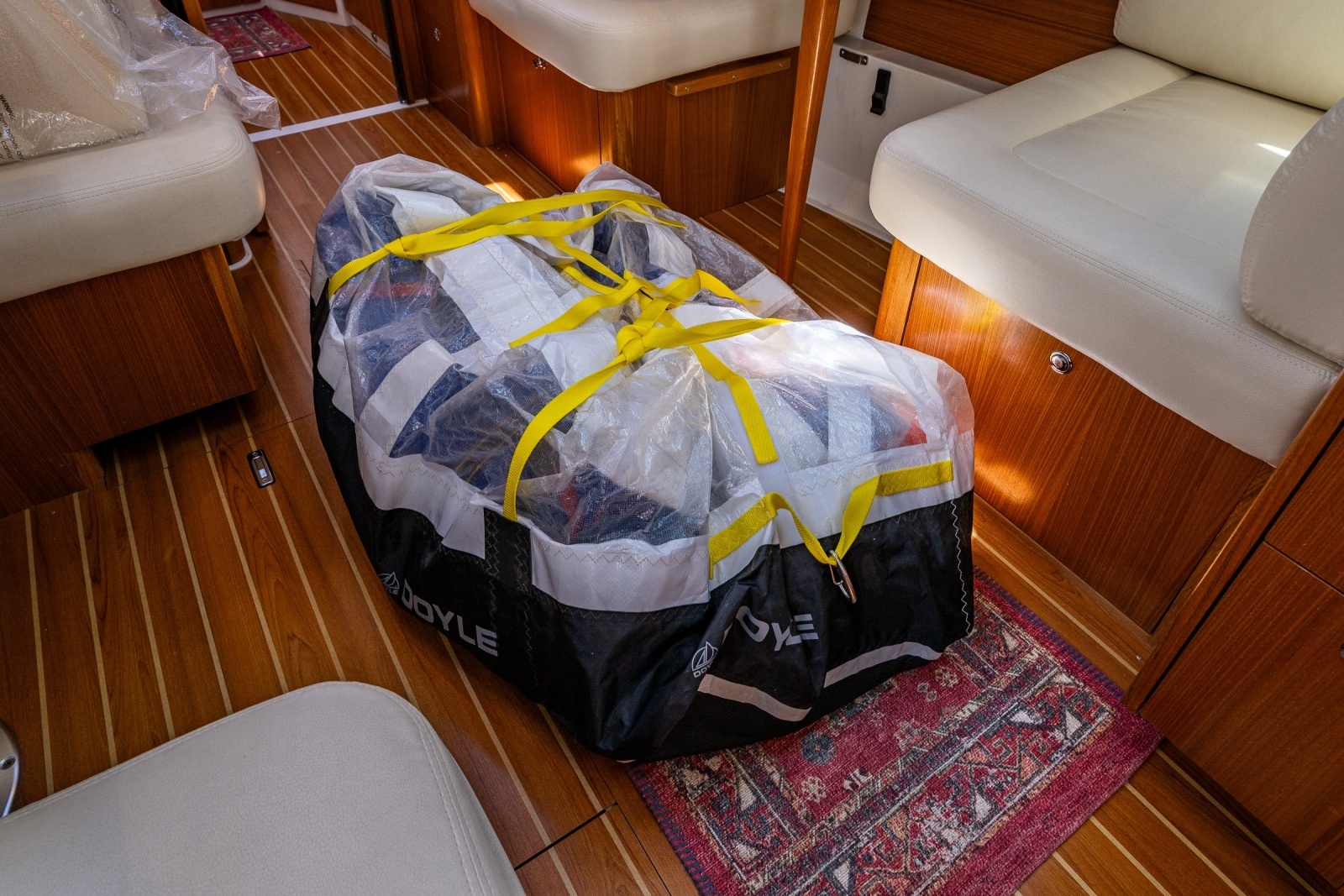 2024 Catalina 445