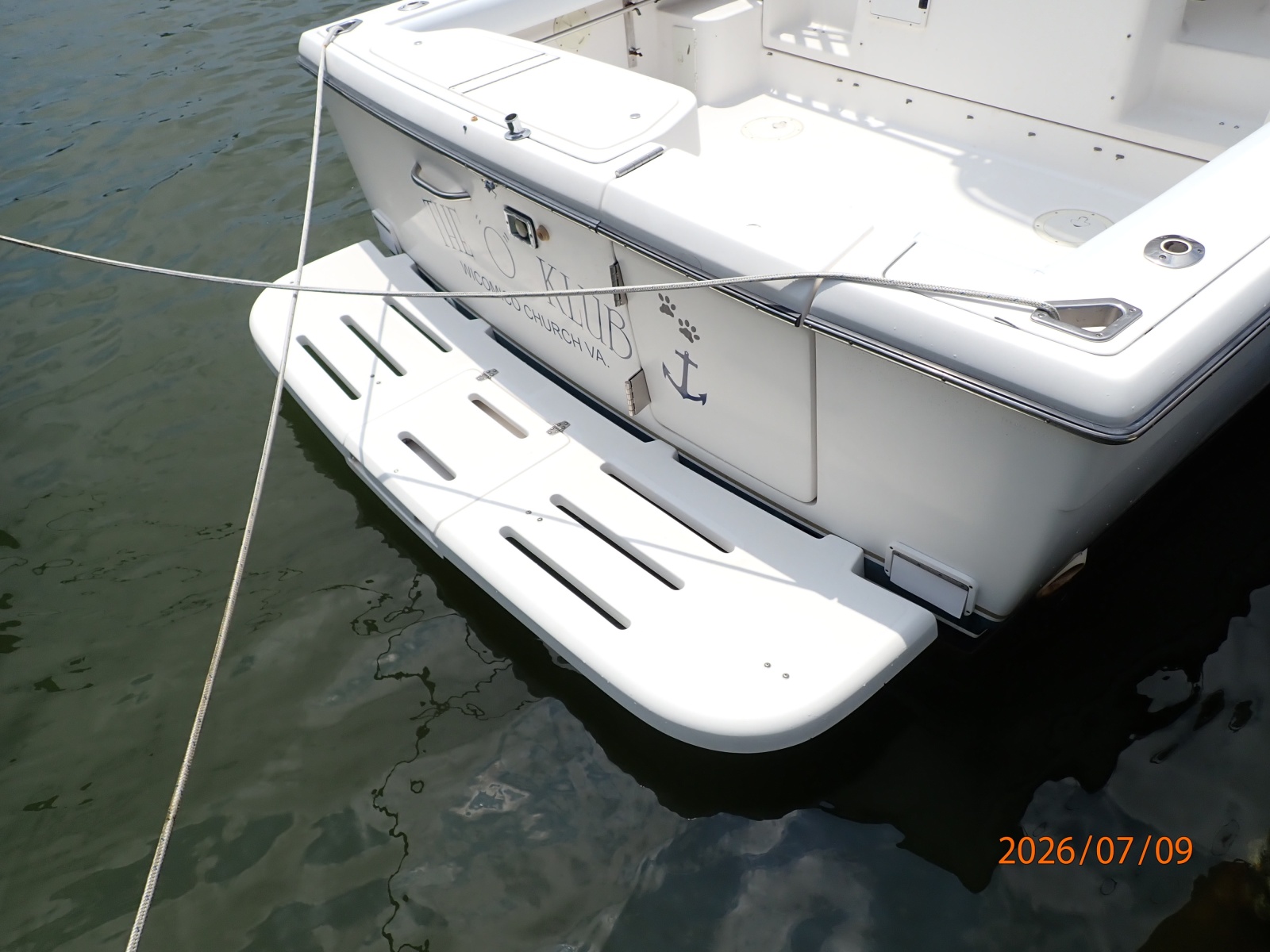 30' Pursuit swimplatform
