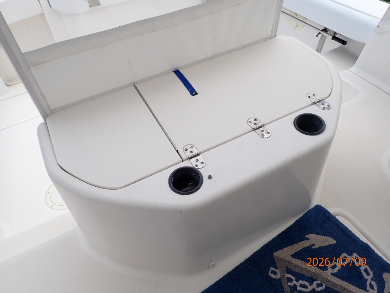 30' Pursuit cockpit livewell-sink