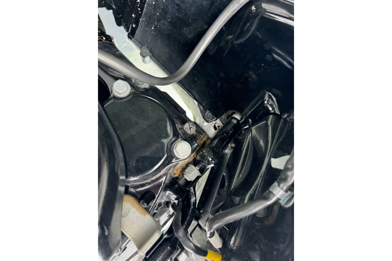 2023 Starcraft MX 25 DL DH
