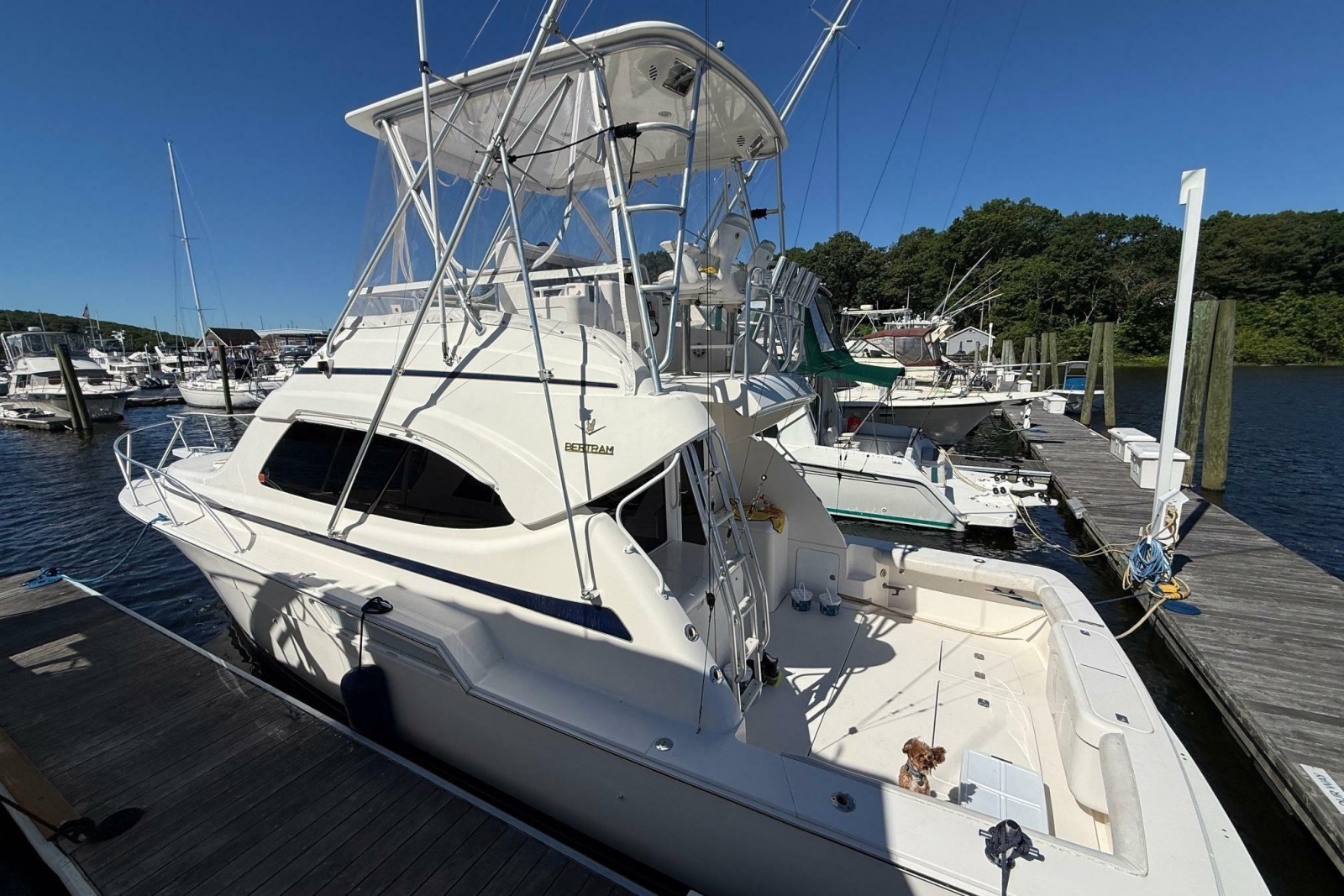 2002 Bertram 390 Convertible