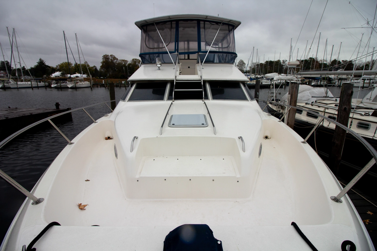 1993 Sea Ray 440 Express Bridge
