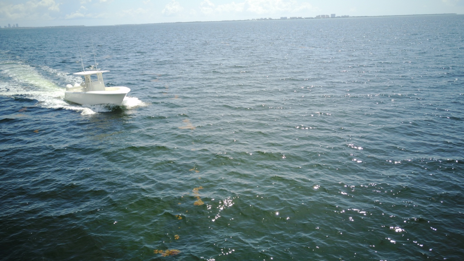 2023 SeaVee 290B