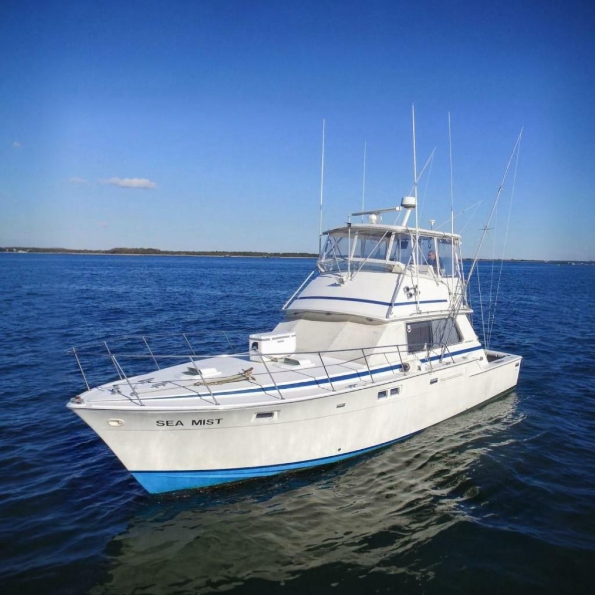 1980 Bertram 42 Convertible