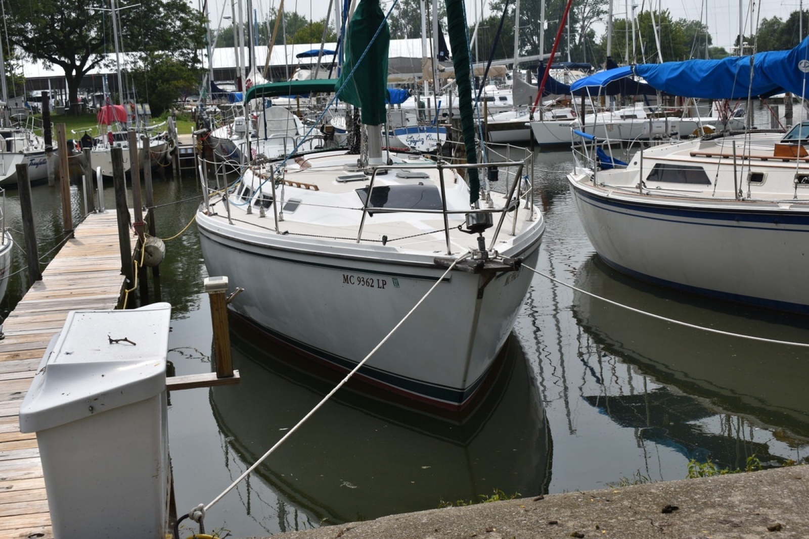 Tanager 36ft Catalina Yacht For Sale
