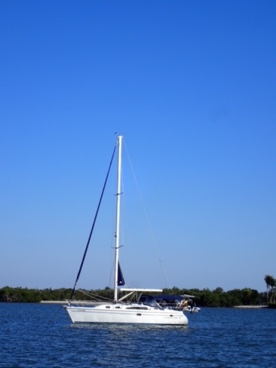 Compass Rose 35ft Catalina Yacht For Sale