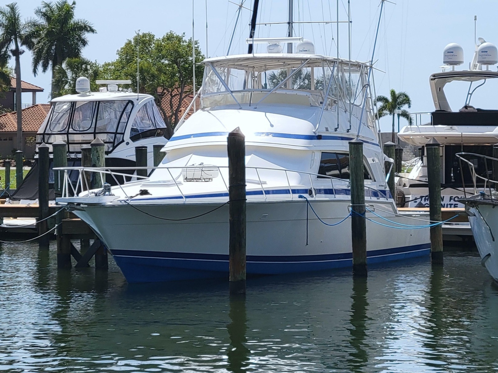 Always Something 50ft Bertram Yacht For Sale