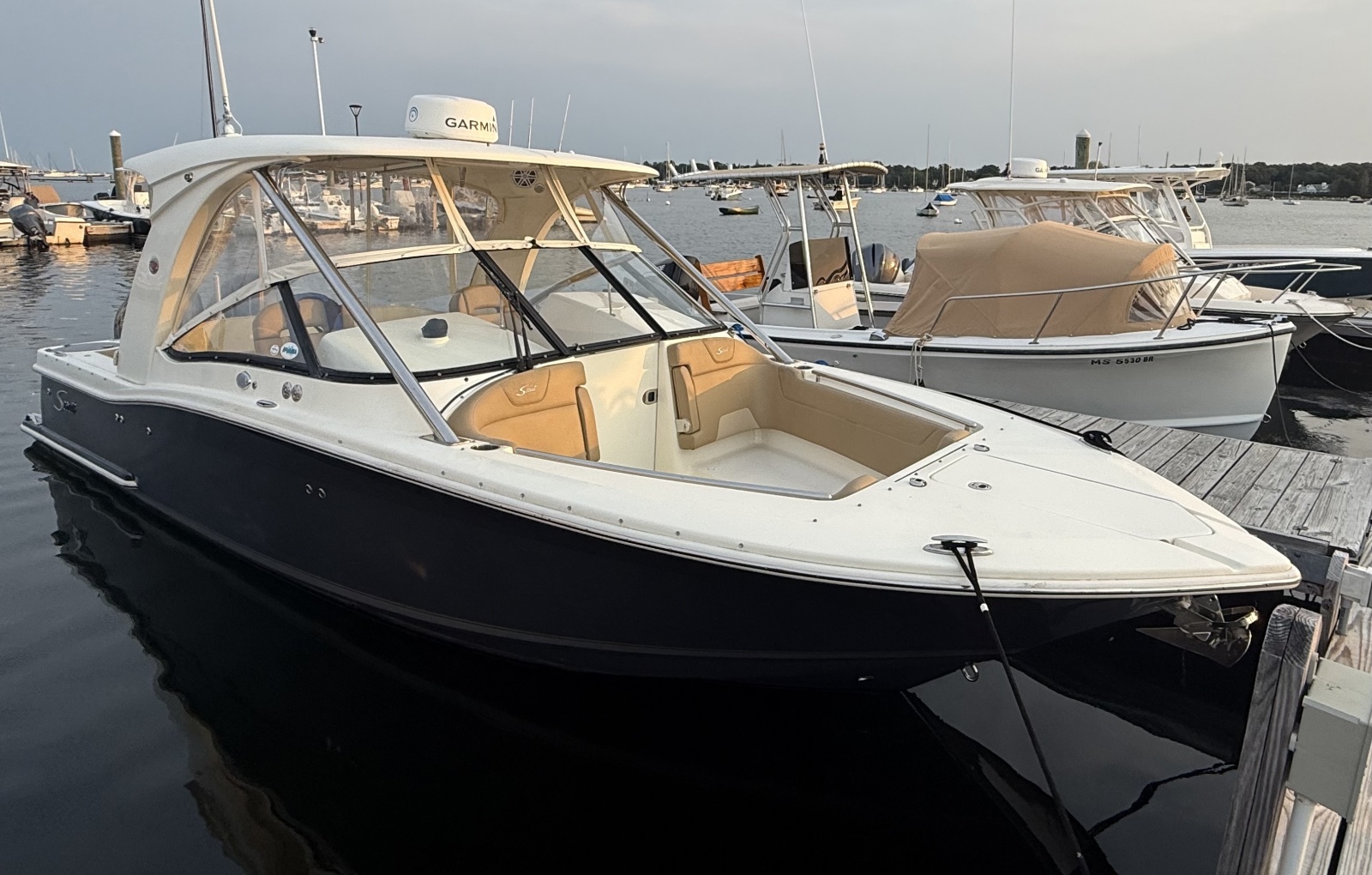2018 Scout 275 Dorado