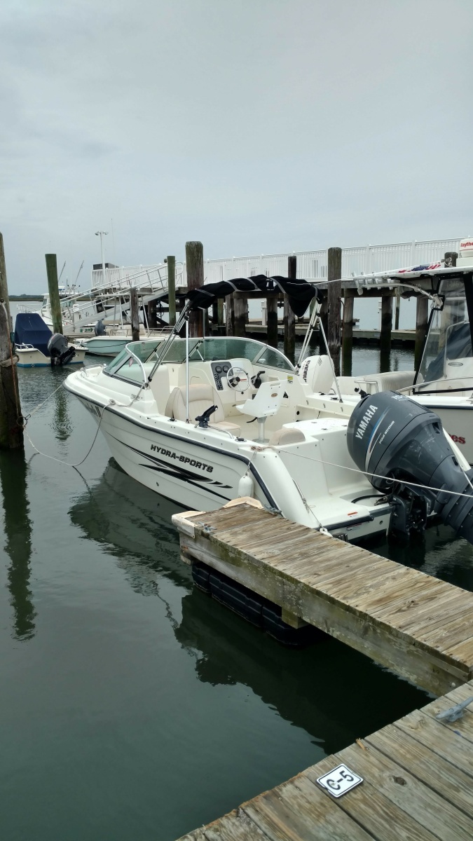 2007 Hydra-Sports Lightning 202 DC