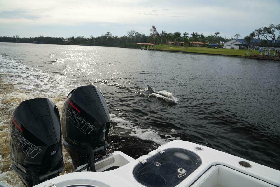 2022 Invincible 46 Catamaran