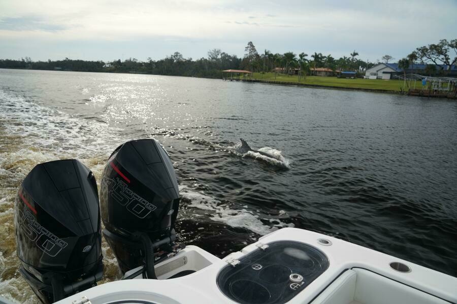 2022 Invincible 46 Catamaran