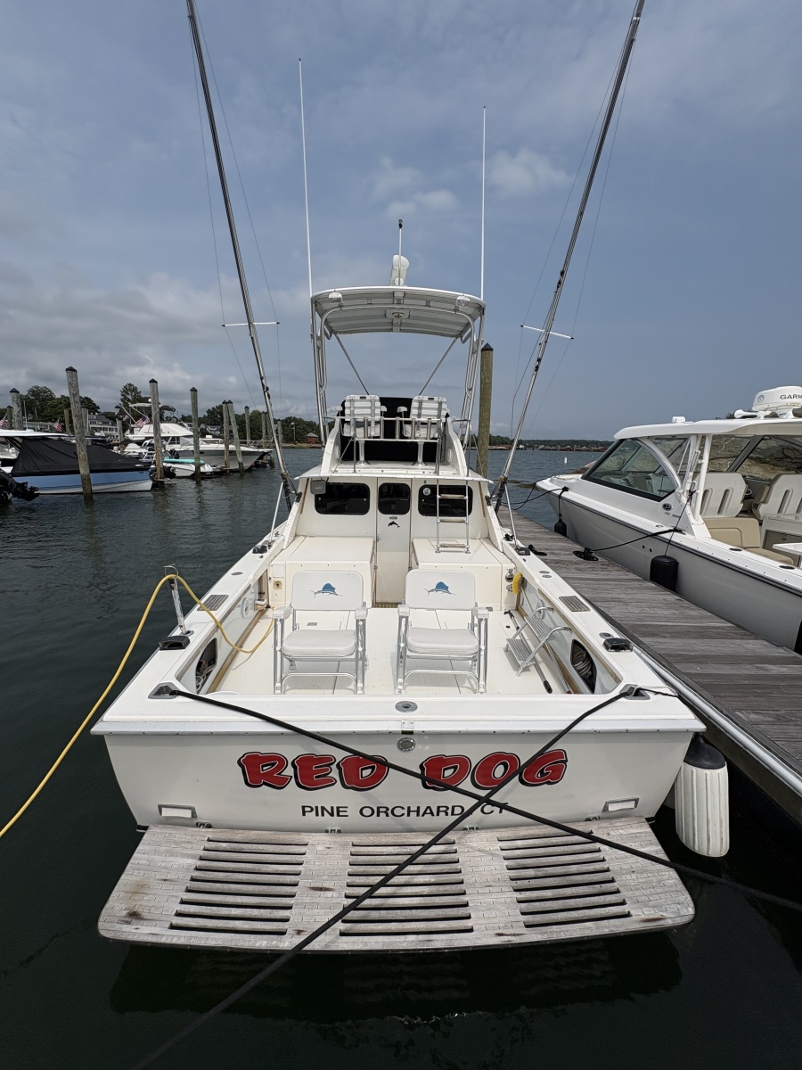 1972 Bertram 31