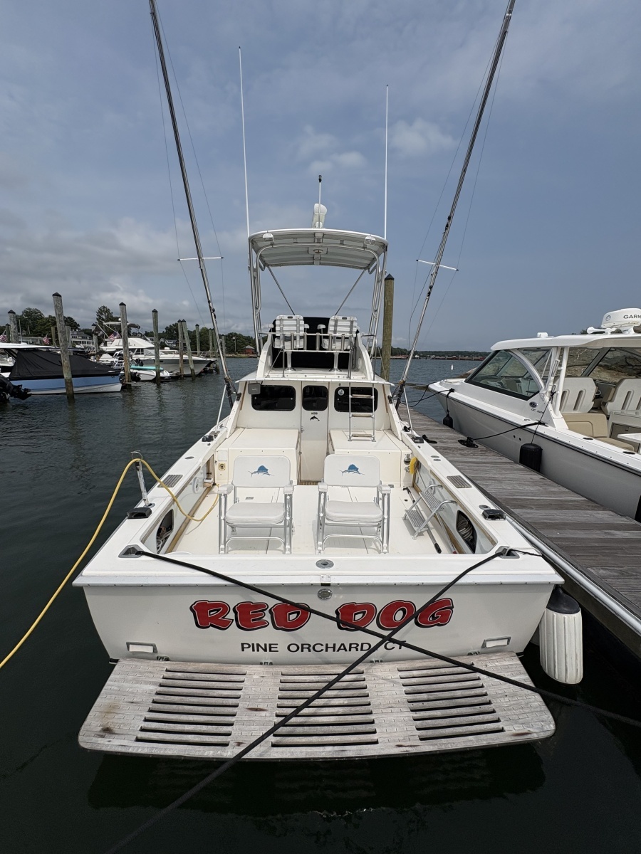 1972 Bertram 31