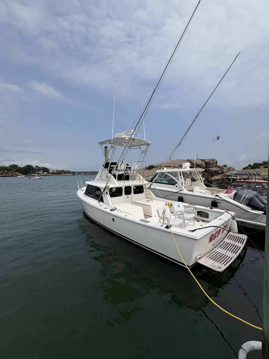 1972 Bertram 31