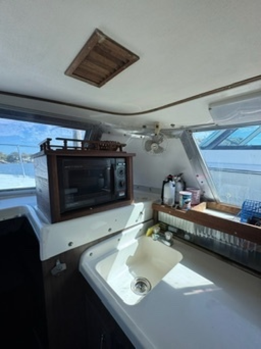 1972 Bertram 31